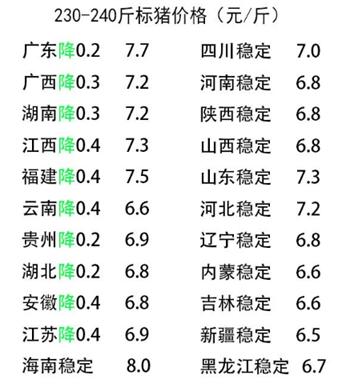 最新粮食价格揭秘与小巷美食宝藏探秘