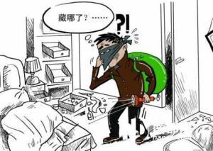 最新入室盗窃案深度分析与启示