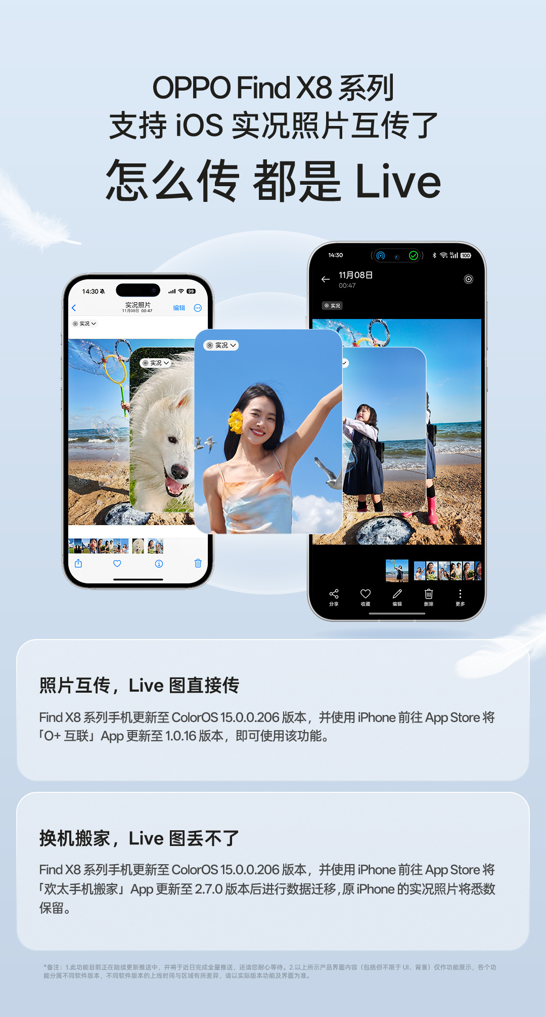 X8最新网站，轻松探索自然美景的旅程