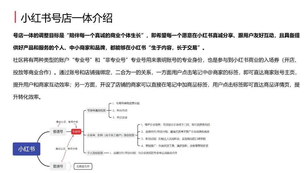 小红书店铺最新规则，轻松探索自然美景的购物之旅
