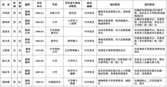 易佳良最新任职揭秘，多维度视角下的深入探讨