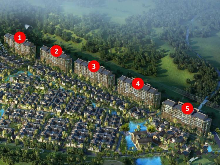 石梅春墅最新动态，学习变革的春风，自信与成就感的源泉