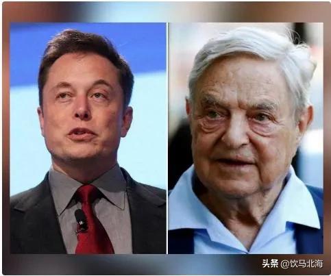 亿万上将的专属宝贝，聚焦高端领域的独特宠爱最新报道