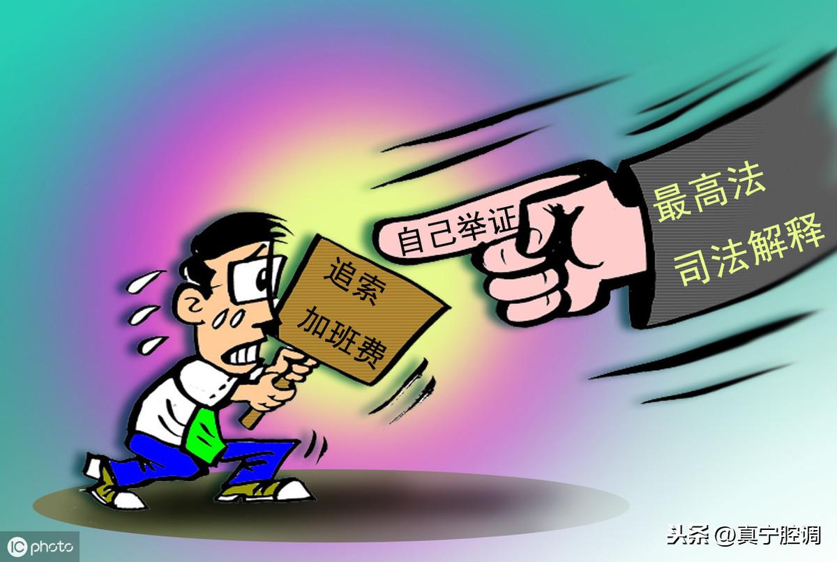 参公最新政策，自然美景的探索之旅