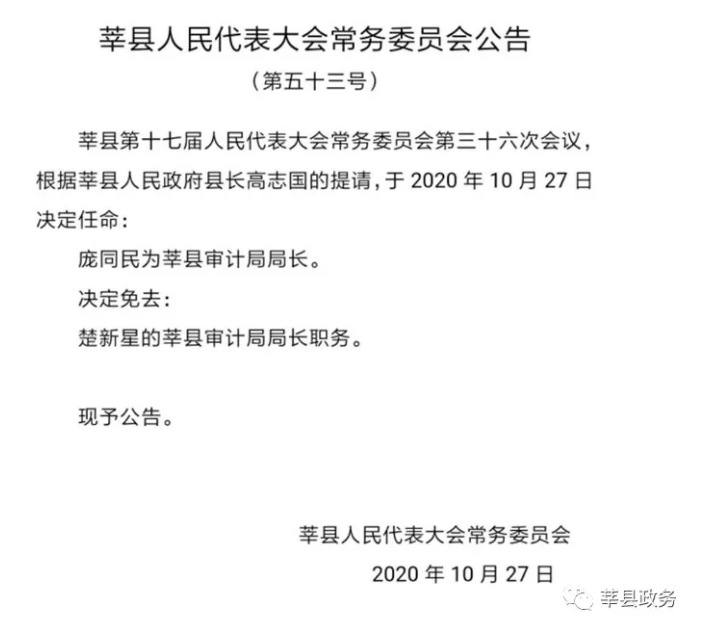 最新版任命书，权威任命，一揽子权威任命书模板