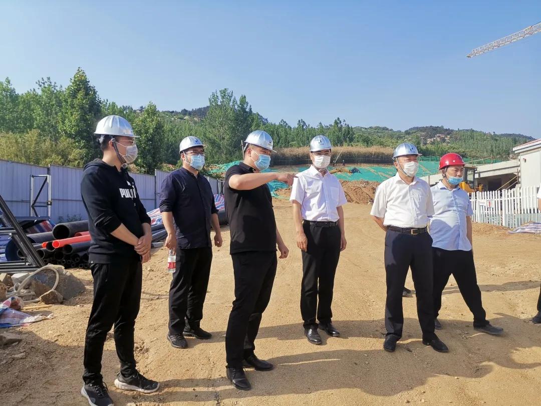 监理政策改革最新动向揭秘，政策调整与优化趋势分析