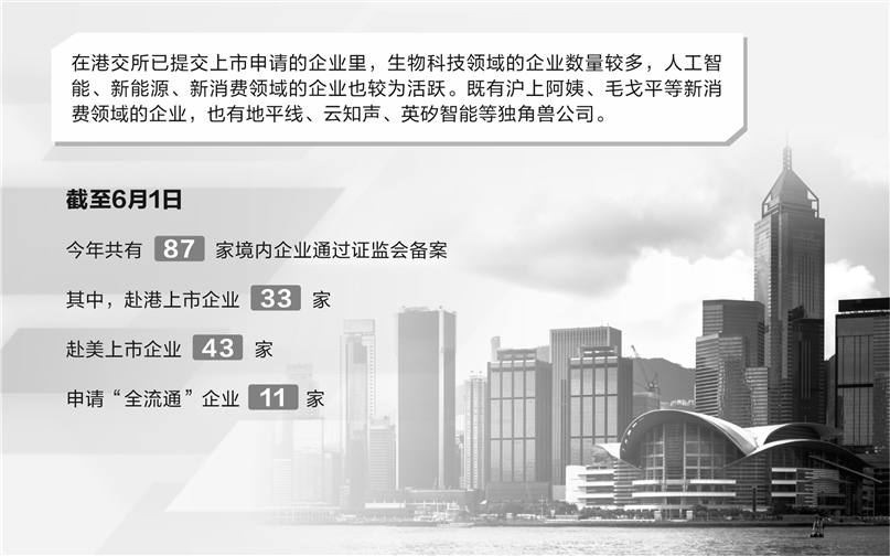 内地企业香港上市条件详解，步骤指南与初学者进阶指南