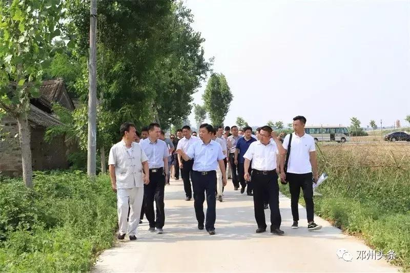 穰东镇最新规划动态揭秘，巷弄深处的独特风情与隐藏瑰宝
