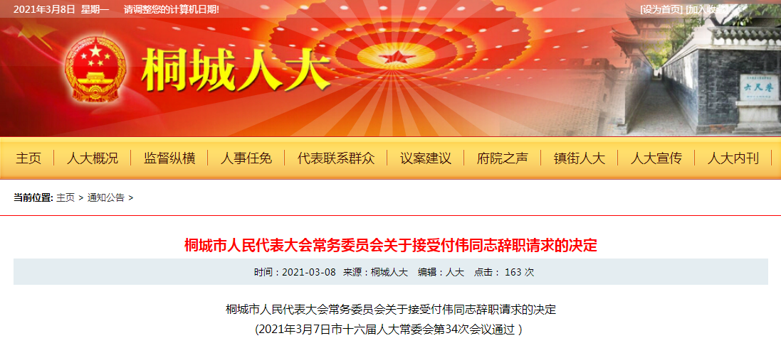 麻城市干部最新任命公告发布，新任名单揭晓！