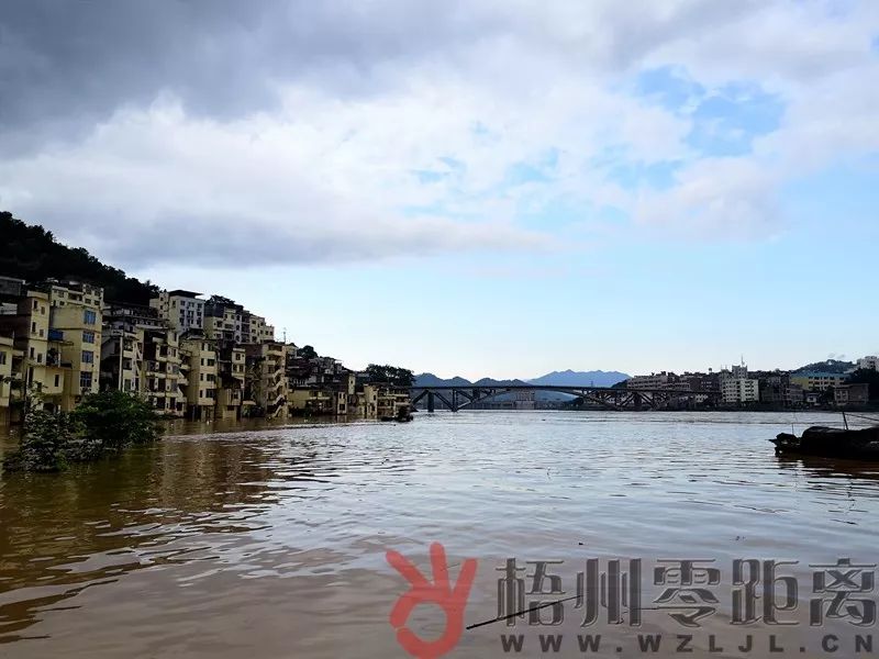 广西梧州最新洪涝灾害情况更新