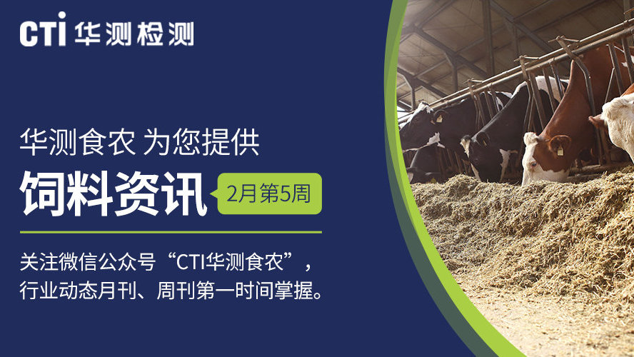 最新饲料资讯，高科技饲料产品介绍与行业动态分析