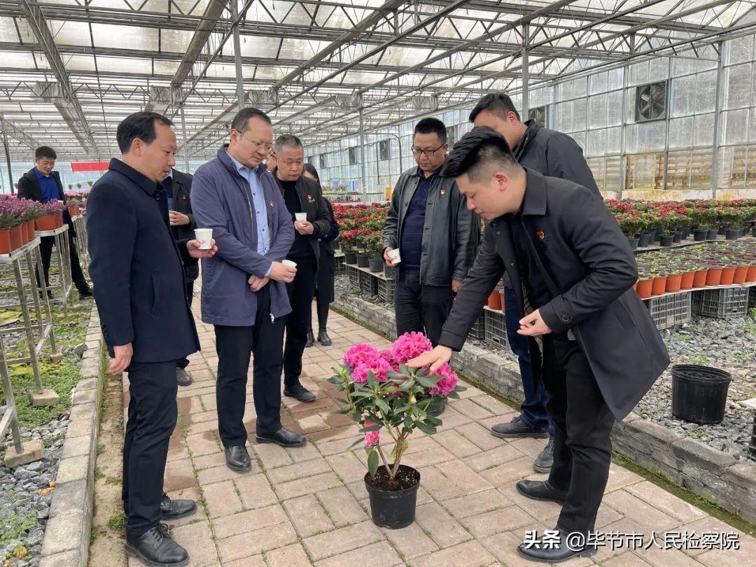 百里杜鹃领导最新分工，变化铸就自信与成就，励志引领前行之路