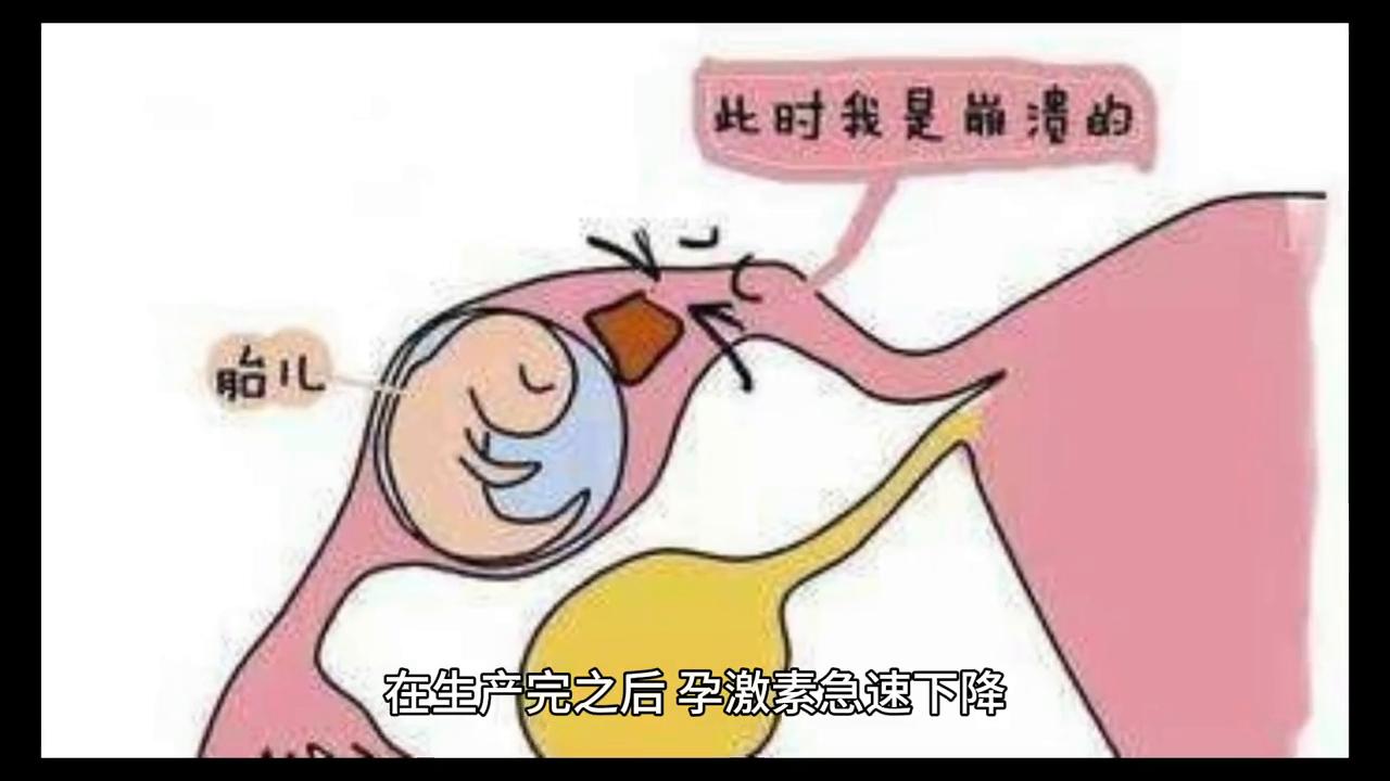 家政妇新风尚,开启自信与成就感的魔法之旅