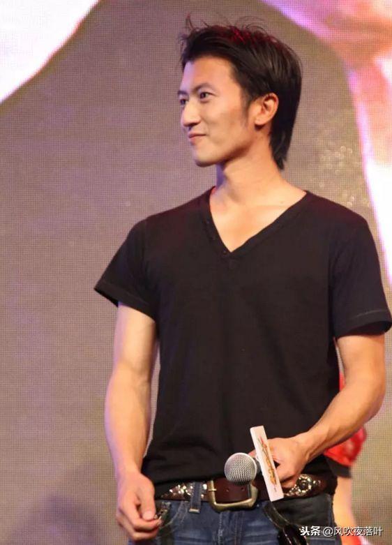 王菲怀孕最新消息,绿色之旅中的内心宁静与新生期待