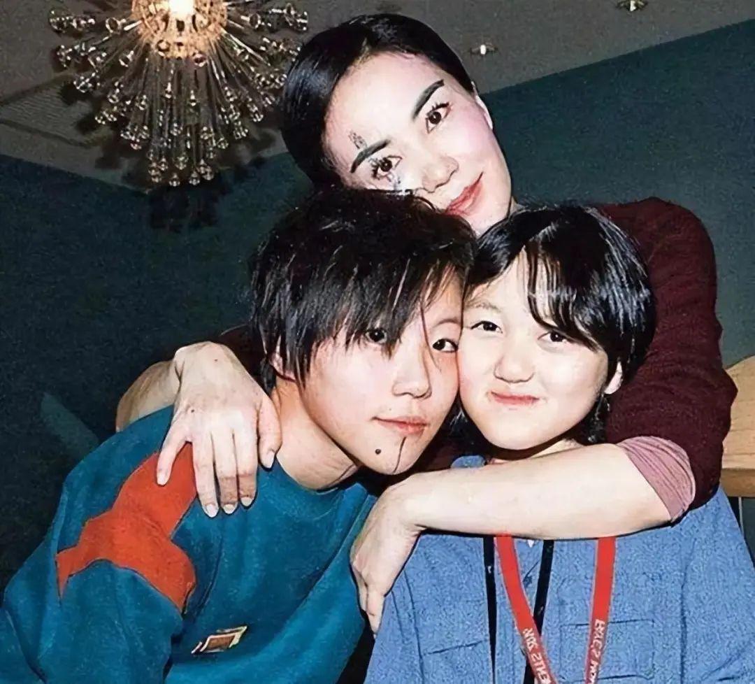 王菲怀孕最新消息,绿色之旅中的内心宁静与新生期待