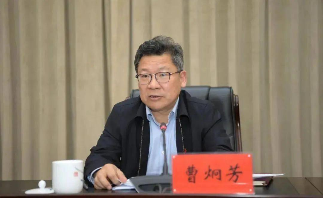 小城日常与温情纽带，最新监察调查揭秘