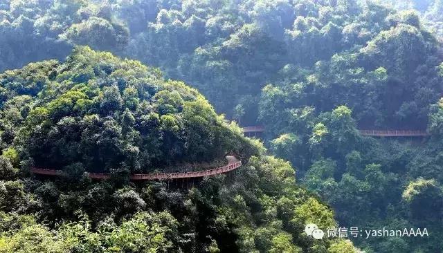 哆趣最新，科技、娱乐与生活的完美融合