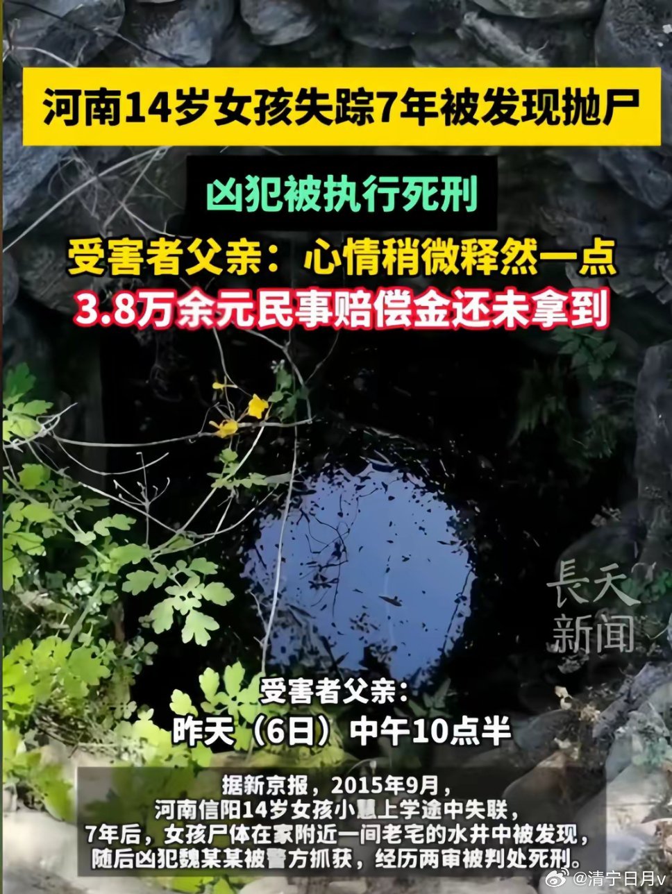 最新枪决案全程指南，从判决到执行的步骤详解