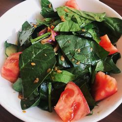 最新菜电话揭秘,解锁味蕾新体验,享受美食之旅!